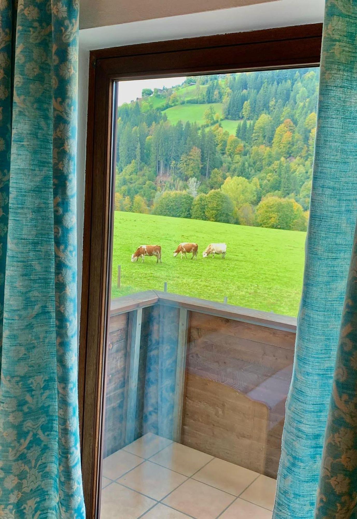 Fleckalm Chalets 티롤 키르흐베르크 객실 사진